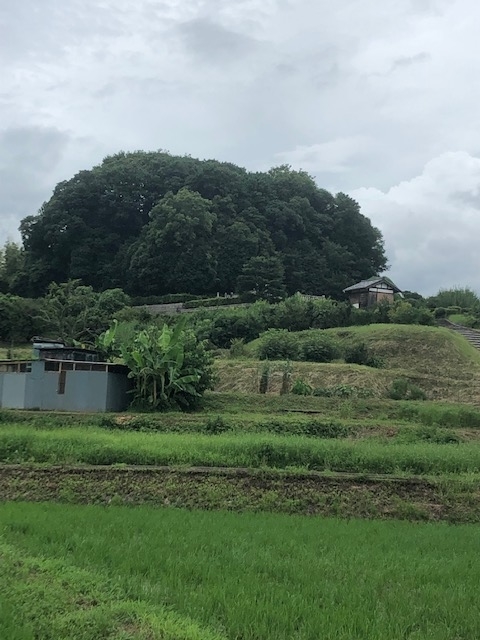 f:id:xnorico:20190722225447j:plain f:id:xnorico:20190722225447j:plain