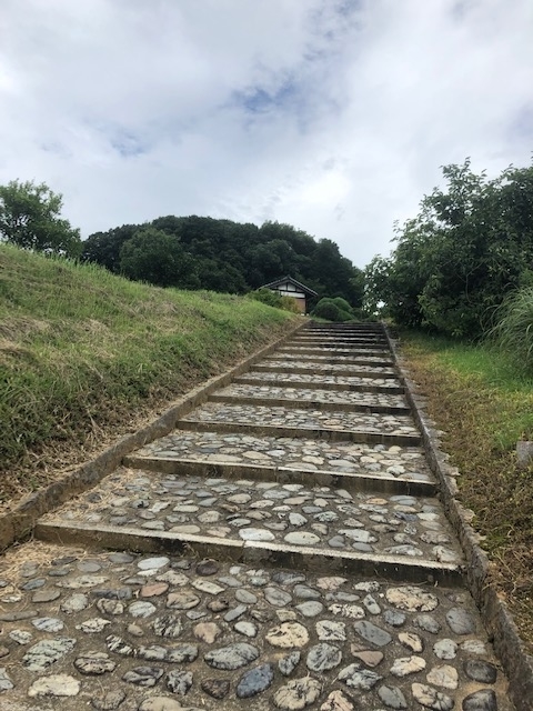 f:id:xnorico:20190722225836j:plain f:id:xnorico:20190722225836j:plain