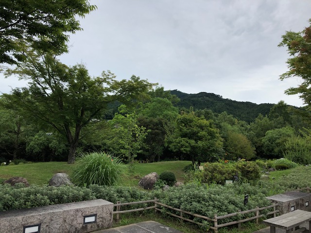 f:id:xnorico:20190723162310j:plain f:id:xnorico:20190723162310j:plain