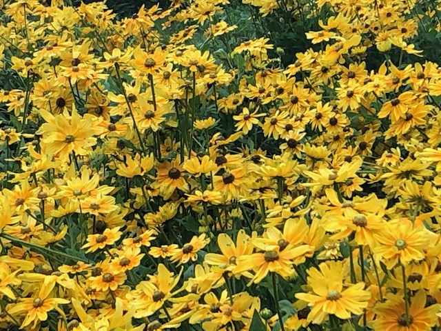 f:id:xnorico:20190728211004j:plain f:id:xnorico:20190728211004j:plain