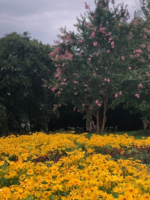 f:id:xnorico:20190728212108j:plain f:id:xnorico:20190728212108j:plain