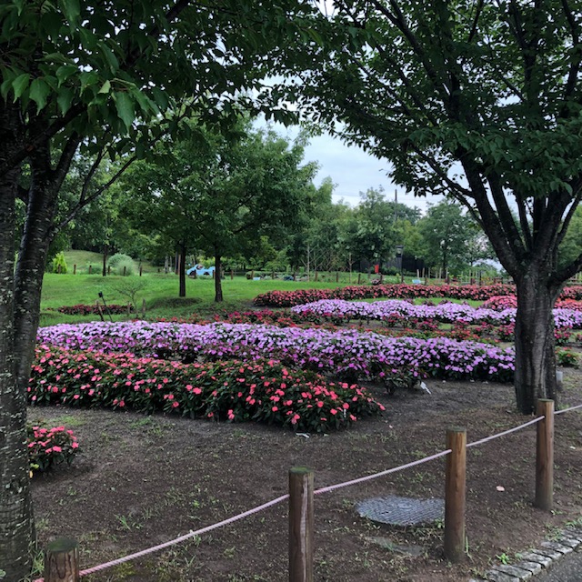 f:id:xnorico:20190728212452j:plain f:id:xnorico:20190728212452j:plain