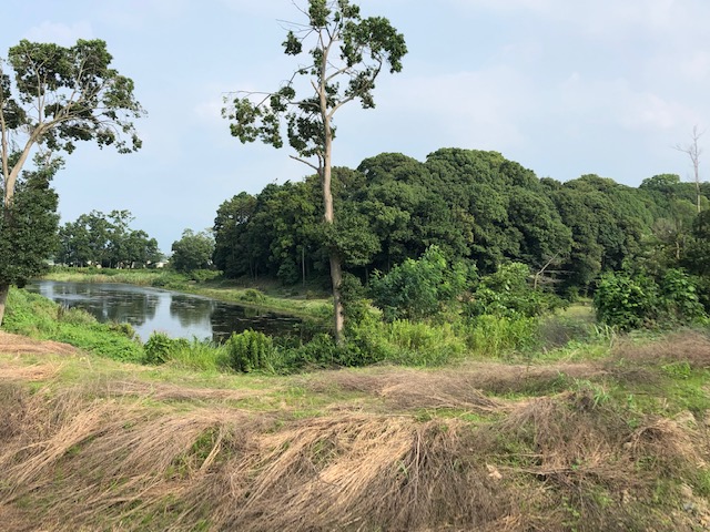 f:id:xnorico:20190728214549j:plain f:id:xnorico:20190728214549j:plain
