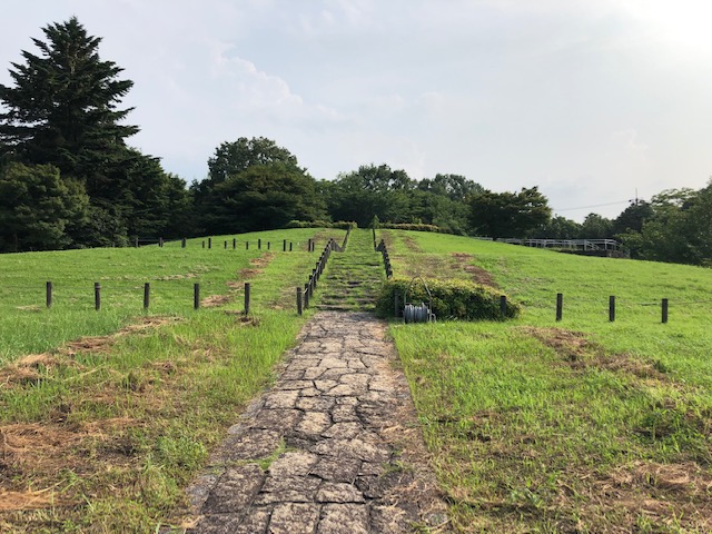 f:id:xnorico:20190728215303j:plain f:id:xnorico:20190728215303j:plain