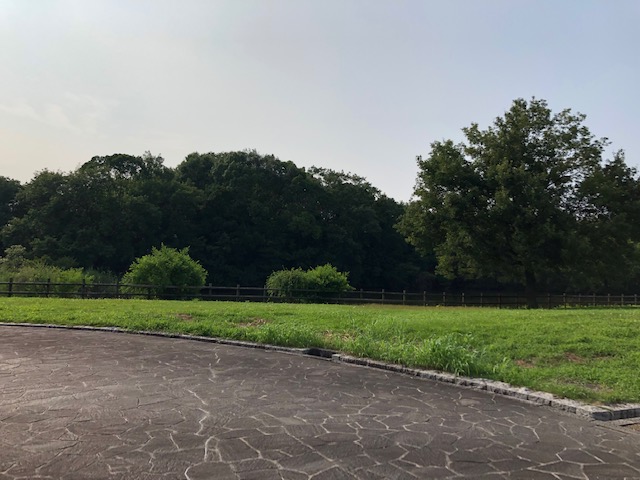 f:id:xnorico:20190728215604j:plain f:id:xnorico:20190728215604j:plain