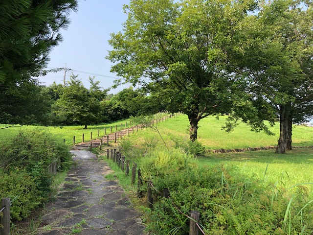 f:id:xnorico:20190728215910j:plain f:id:xnorico:20190728215910j:plain