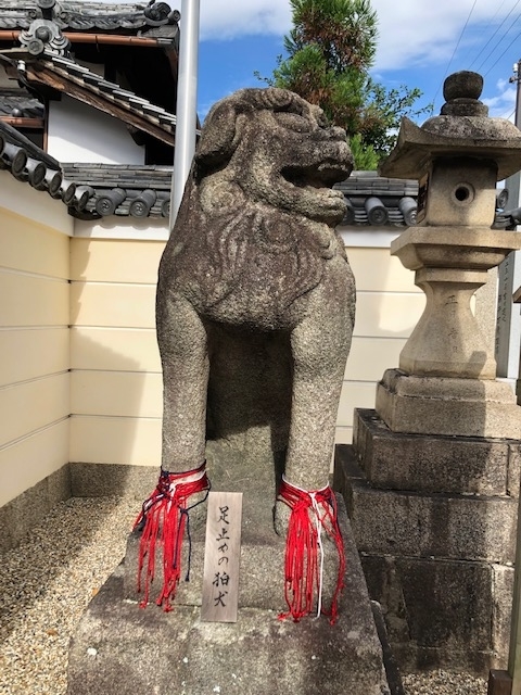 f:id:xnorico:20190807143740j:plain f:id:xnorico:20190807143740j:plain