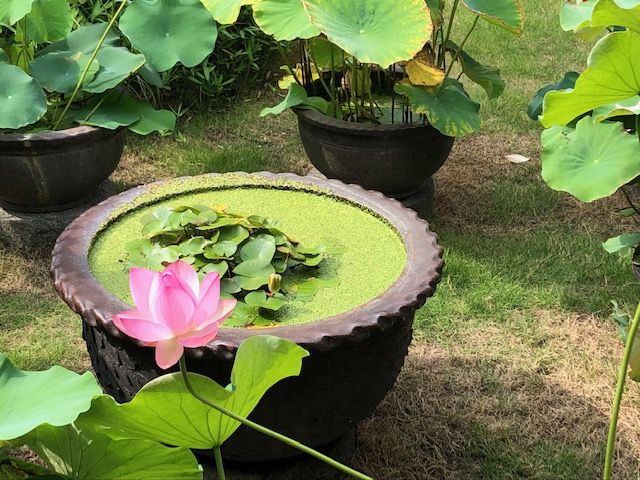 f:id:xnorico:20190810220409j:plain f:id:xnorico:20190810220409j:plain