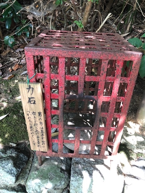 f:id:xnorico:20190816154527j:plain f:id:xnorico:20190816154527j:plain