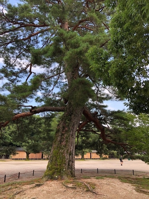 f:id:xnorico:20190825195418j:plain