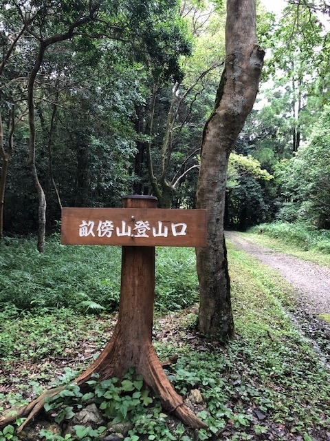 f:id:xnorico:20190825222547j:plain