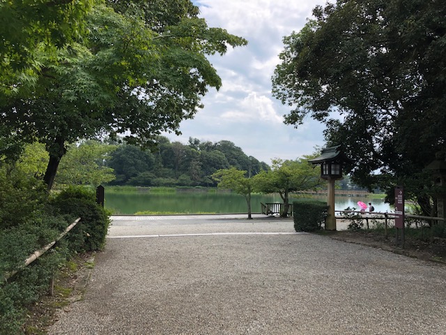f:id:xnorico:20190904000602j:plain