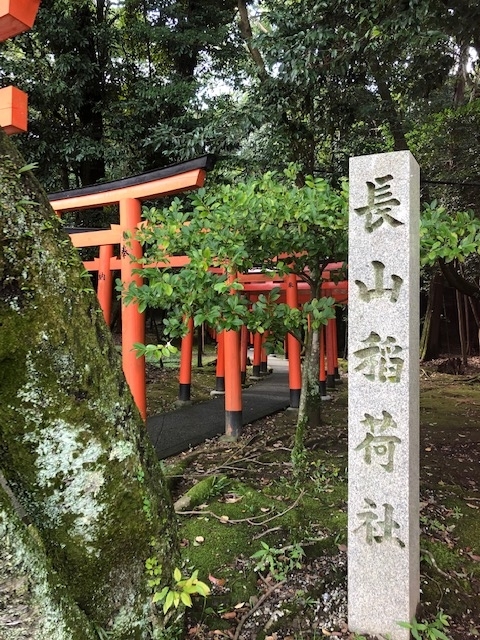 f:id:xnorico:20190904232924j:plain