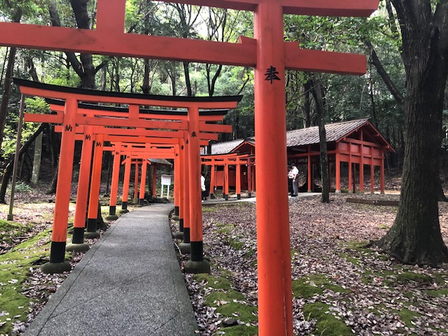 f:id:xnorico:20190904233902j:plain