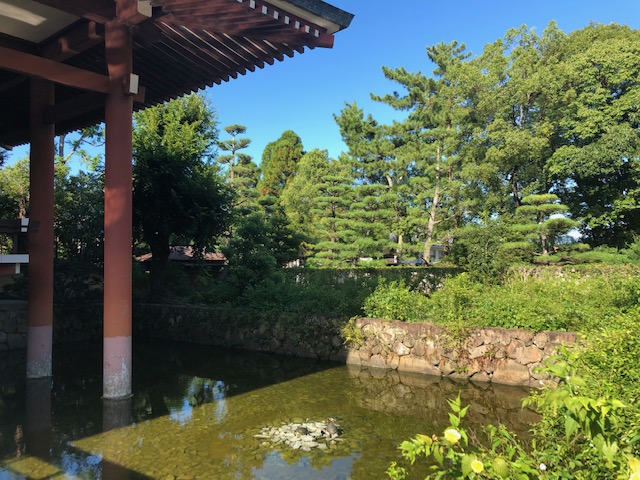 f:id:xnorico:20190922230728j:plain f:id:xnorico:20190922230728j:plain