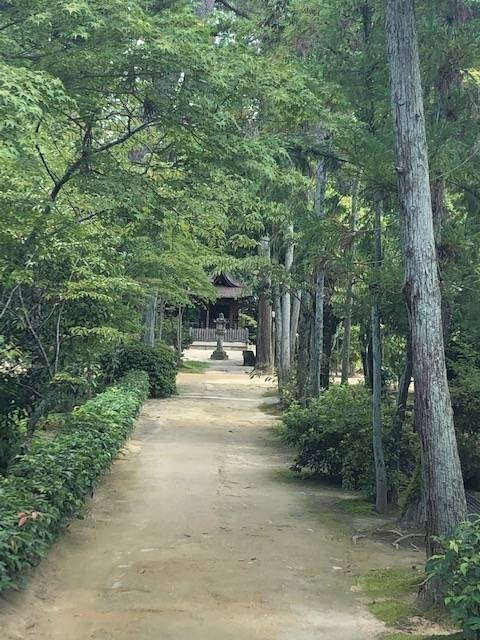 唐招提寺