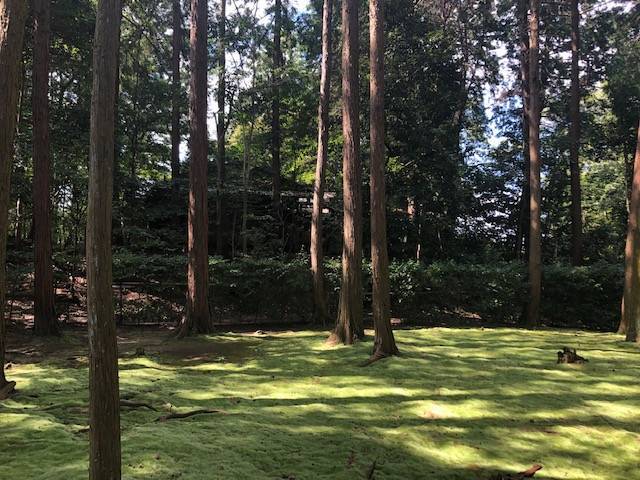 鑑真和上御廟森左 唐招提寺