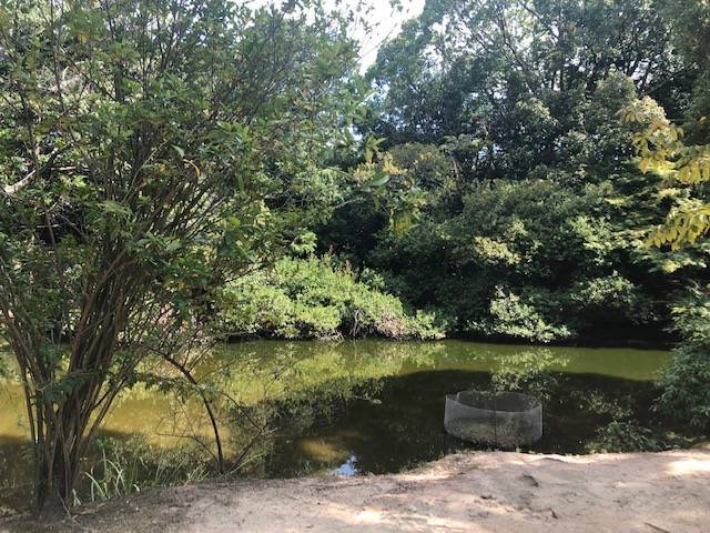 鑑真和上御廟前池 唐招提寺