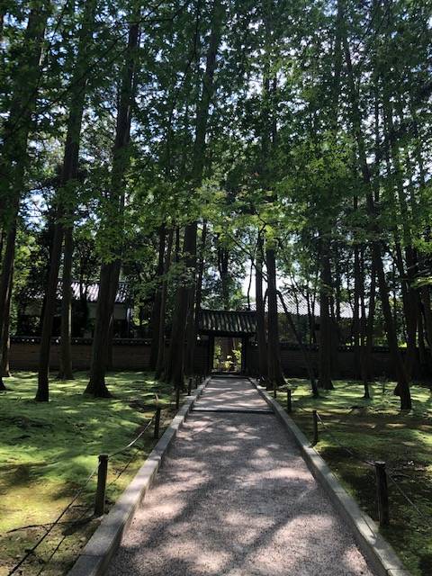 鑑真和上御廟から入口の門に向かう 唐招提寺