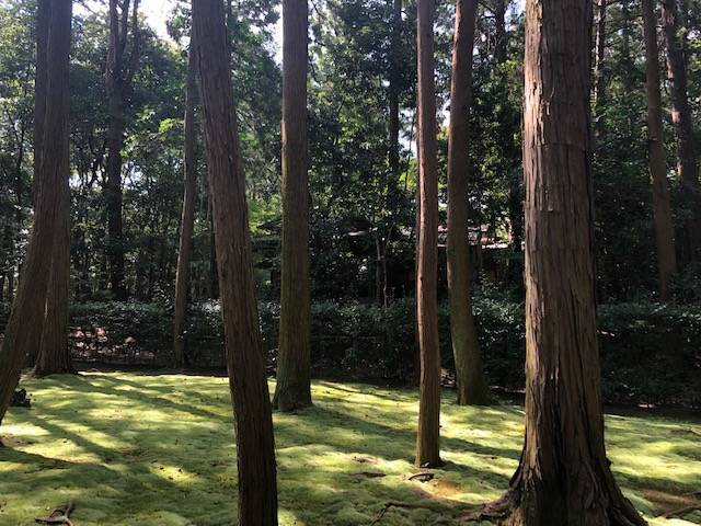 鑑真和上御廟森右 唐招提寺
