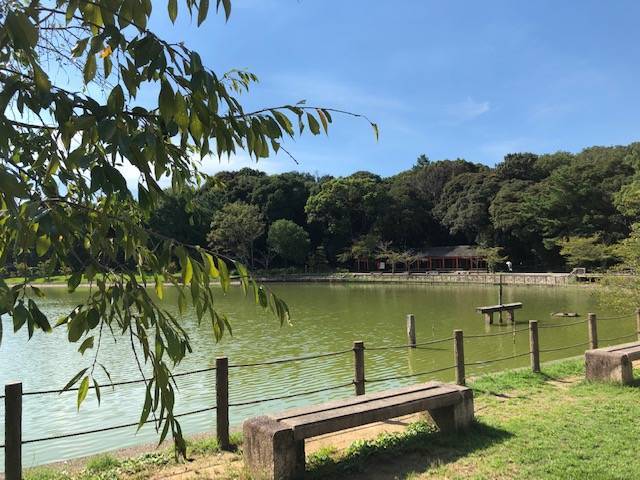 f:id:xnorico:20191020021347j:plain