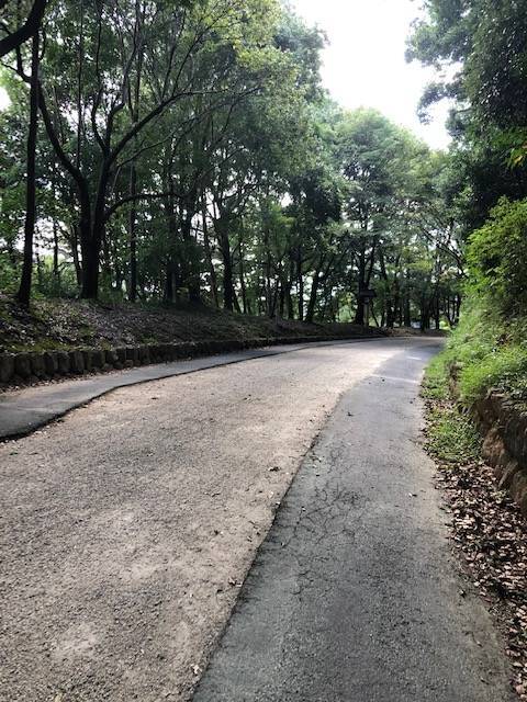 f:id:xnorico:20191020031043j:plain