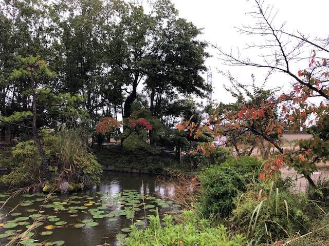f:id:xnorico:20191024002156j:plain f:id:xnorico:20191024002156j:plain