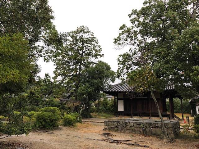 f:id:xnorico:20191024002249j:plain f:id:xnorico:20191024002249j:plain
