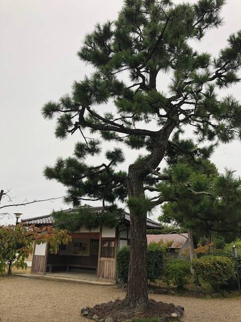 f:id:xnorico:20191024002411j:plain f:id:xnorico:20191024002411j:plain