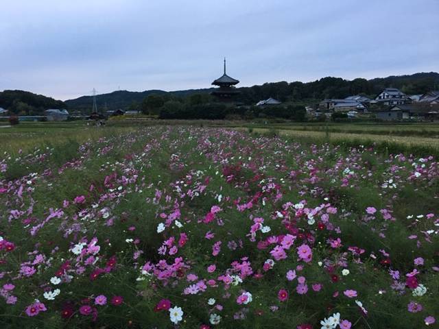 f:id:xnorico:20191024132246j:plain f:id:xnorico:20191024132246j:plain