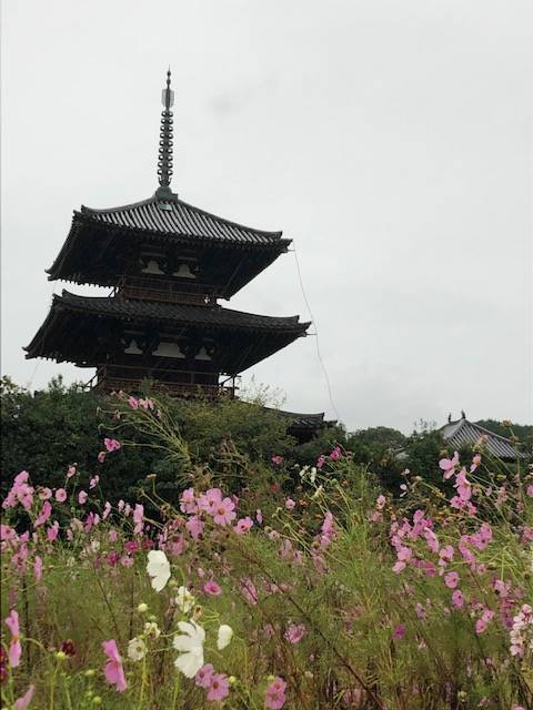 f:id:xnorico:20191024135132j:plain f:id:xnorico:20191024135132j:plain