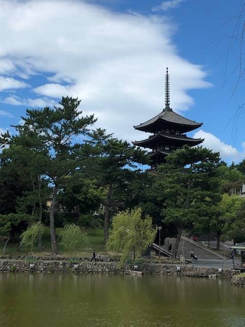 f:id:xnorico:20191109230837j:plain