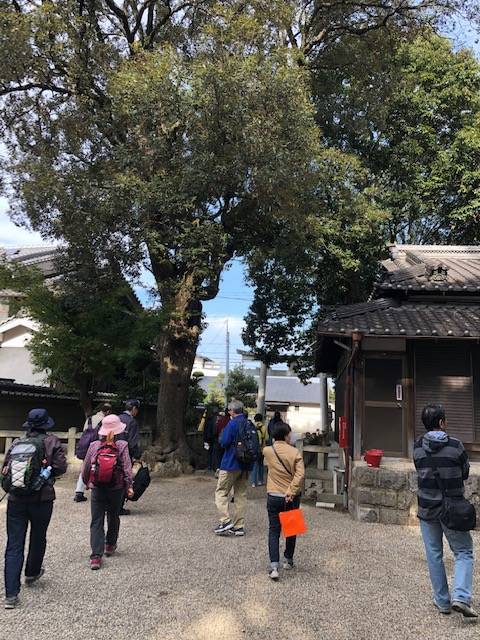 f:id:xnorico:20191118231243j:plain