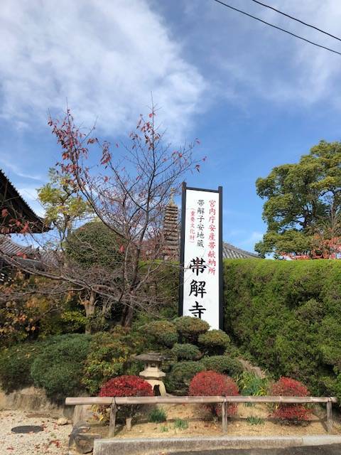 f:id:xnorico:20191120001816j:plain f:id:xnorico:20191120001816j:plain