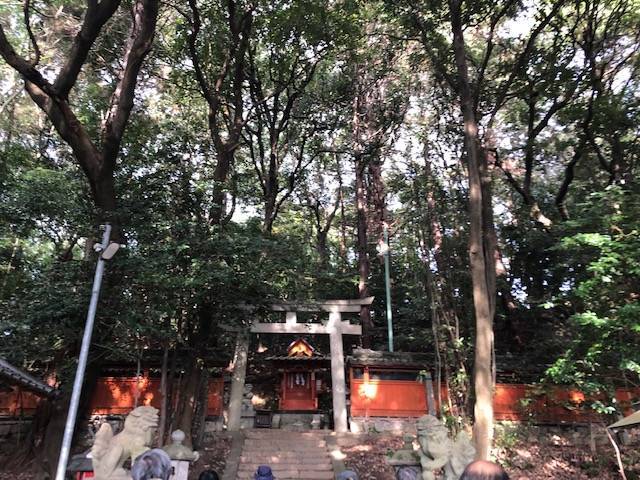 f:id:xnorico:20191125235159j:plain