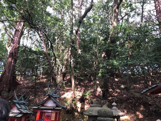 f:id:xnorico:20191125235900j:plain