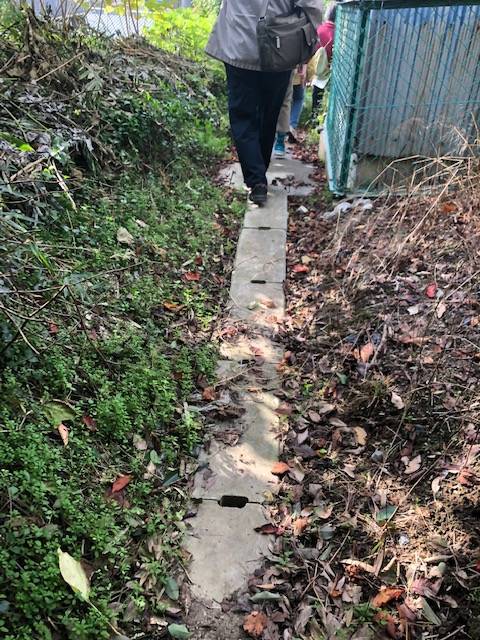 f:id:xnorico:20191126001309j:plain