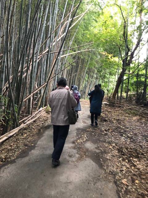 f:id:xnorico:20191126004531j:plain