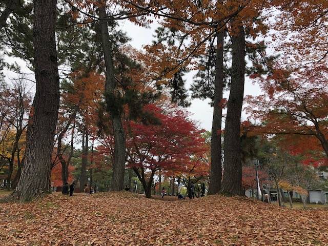 f:id:xnorico:20191128233513j:plain f:id:xnorico:20191128233513j:plain