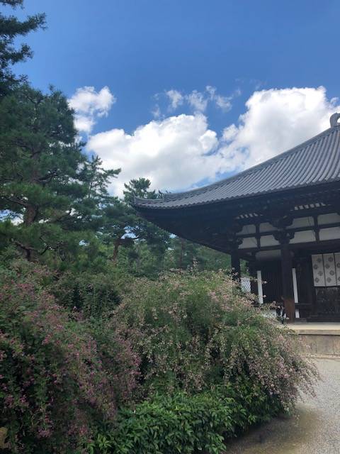 f:id:xnorico:20191201232654j:plain f:id:xnorico:20191201232654j:plain