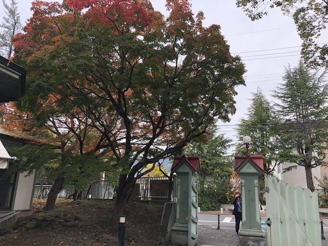 f:id:xnorico:20191202001108j:plain f:id:xnorico:20191202001108j:plain