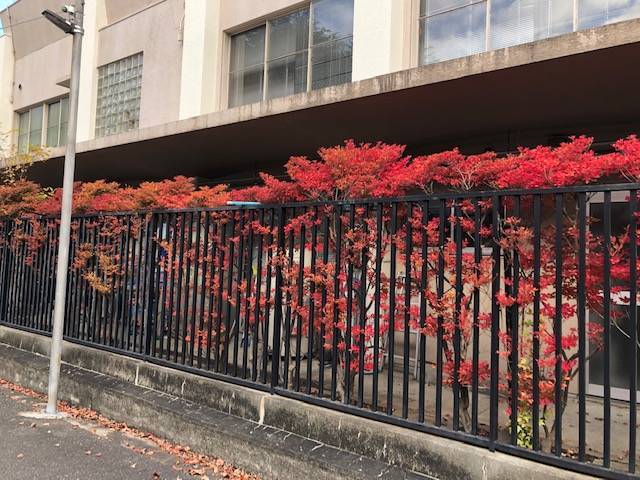 f:id:xnorico:20191202004154j:plain f:id:xnorico:20191202004154j:plain