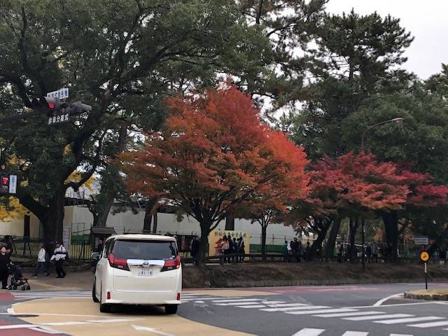 f:id:xnorico:20191202004600j:plain f:id:xnorico:20191202004600j:plain