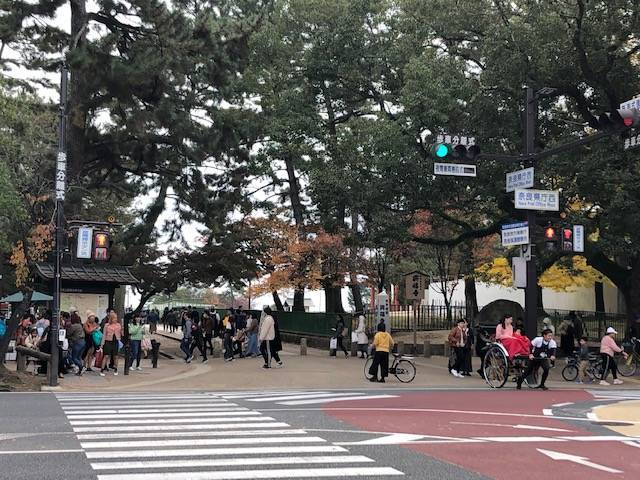 f:id:xnorico:20191202004638j:plain f:id:xnorico:20191202004638j:plain