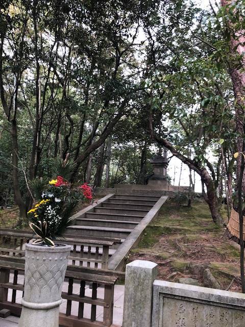 鑑真和上御廟に手向けられた花 唐招提寺