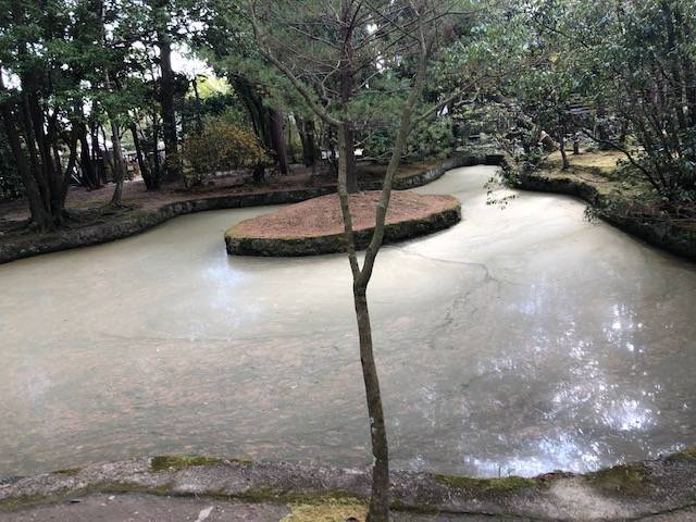 滄海池のアップ 唐招提寺