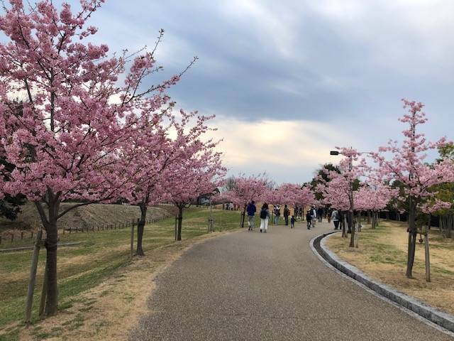 馬見丘陵公園