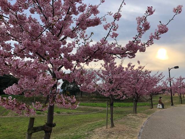 馬見丘陵公園