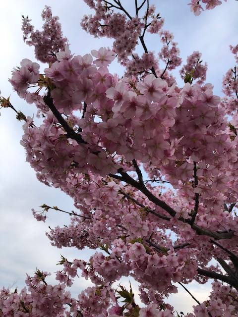 馬見丘陵公園