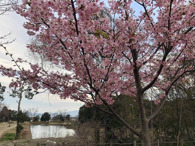 馬見丘陵公園